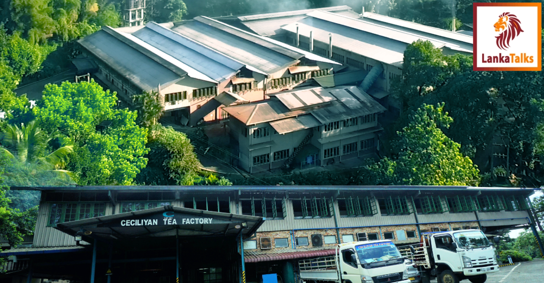 Ceciliyan Tea Factory records massive 3.8 million Kg sales in 2023